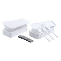 Antibakterielle Lunchbox Ayam