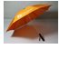 Regenschirm LED