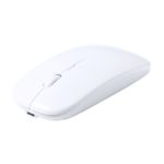 Computermaus Rabick